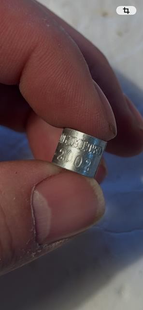 Ducks Unlimited Duck/Dove Band 2002