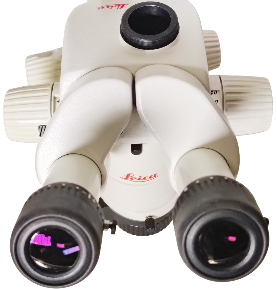 Leica MZ95 Stereo Microscope