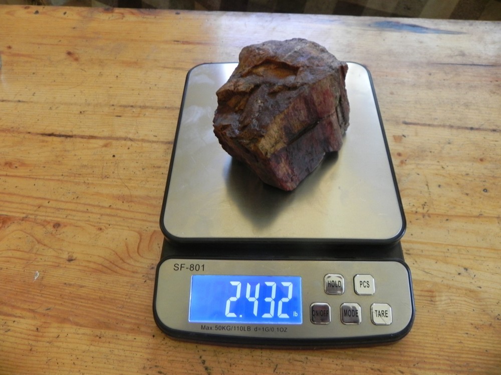 Petrified wood 2.4 pounds