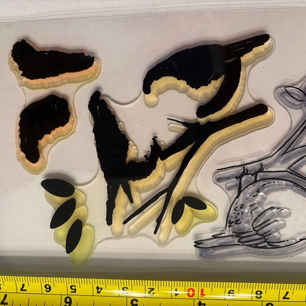 Layerd Birds Clear Rubber Stamp