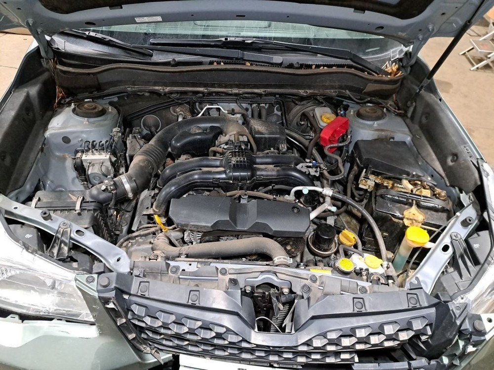 2016 Forester Jack Sku#4352629