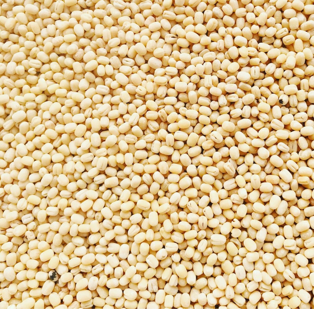 Vigna mingo beans (Ulundu)