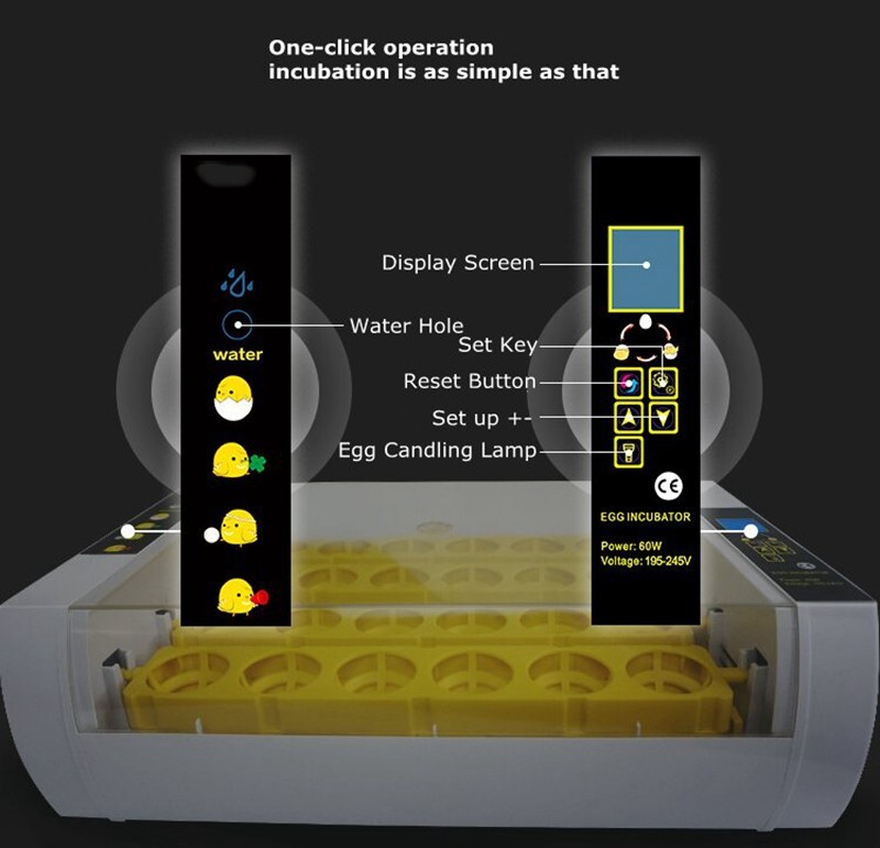 24 Eggs Automatic Egg Incubator Bird Poultry Hatcher Breeder Digital Display