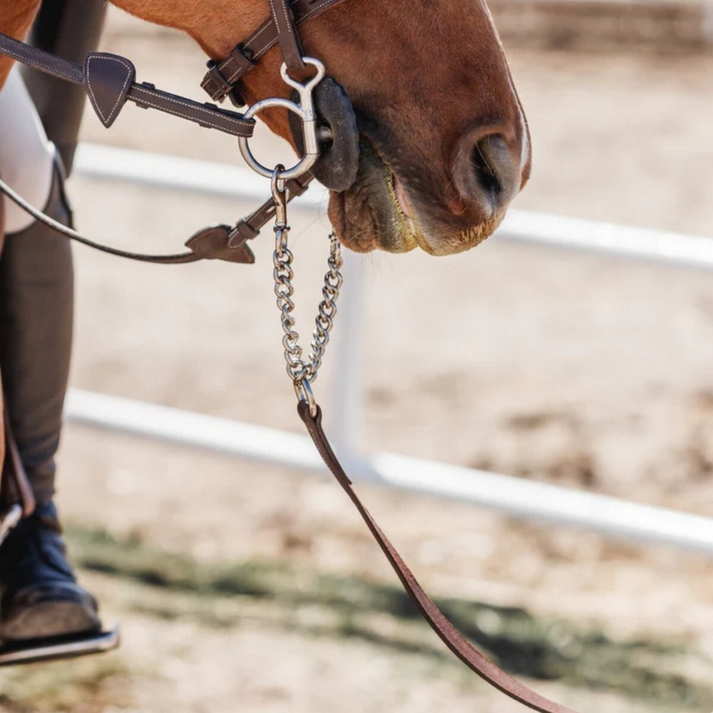 CommonWealth York Grooming Lead