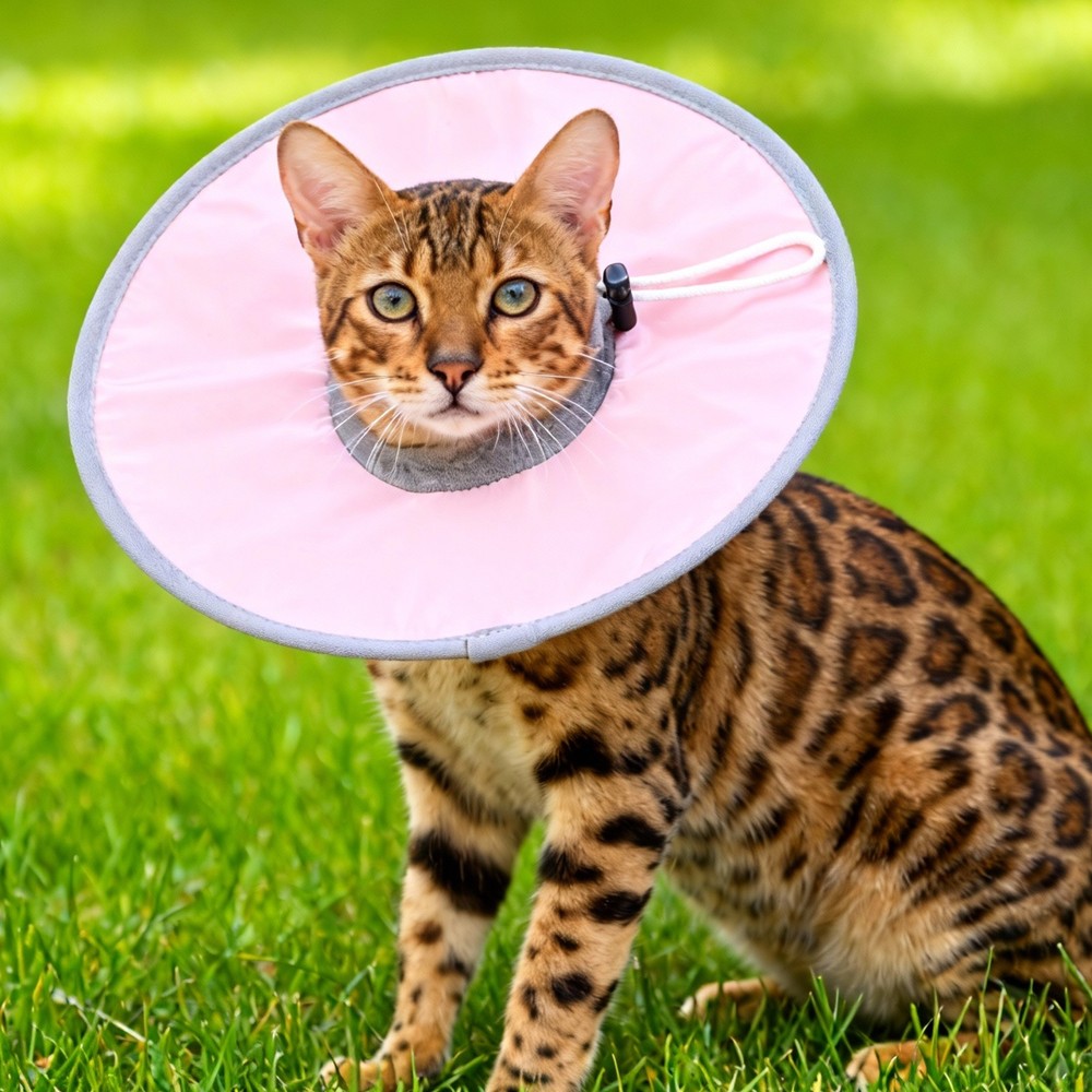 Elizabethan Collar, Recovery Collar ( Polyester, M/L, Light Blue )