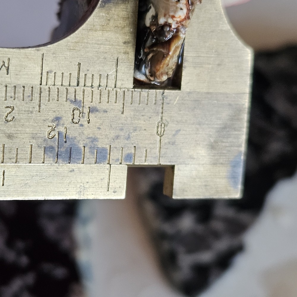 Three Lapidary Slabs 108 Grams