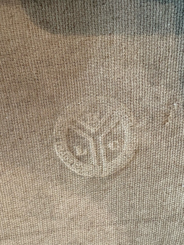 Antique Parlor Guitar Case Lyon & Healy?