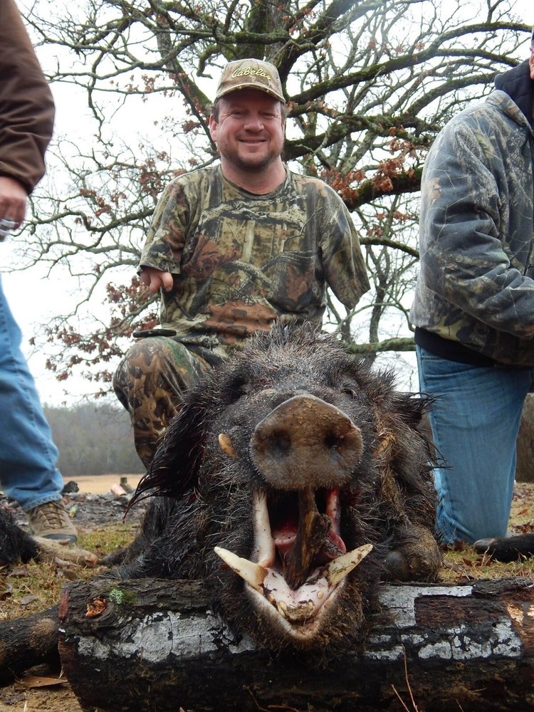 Semi Guided Wild Hog Hunts In Oklahoma