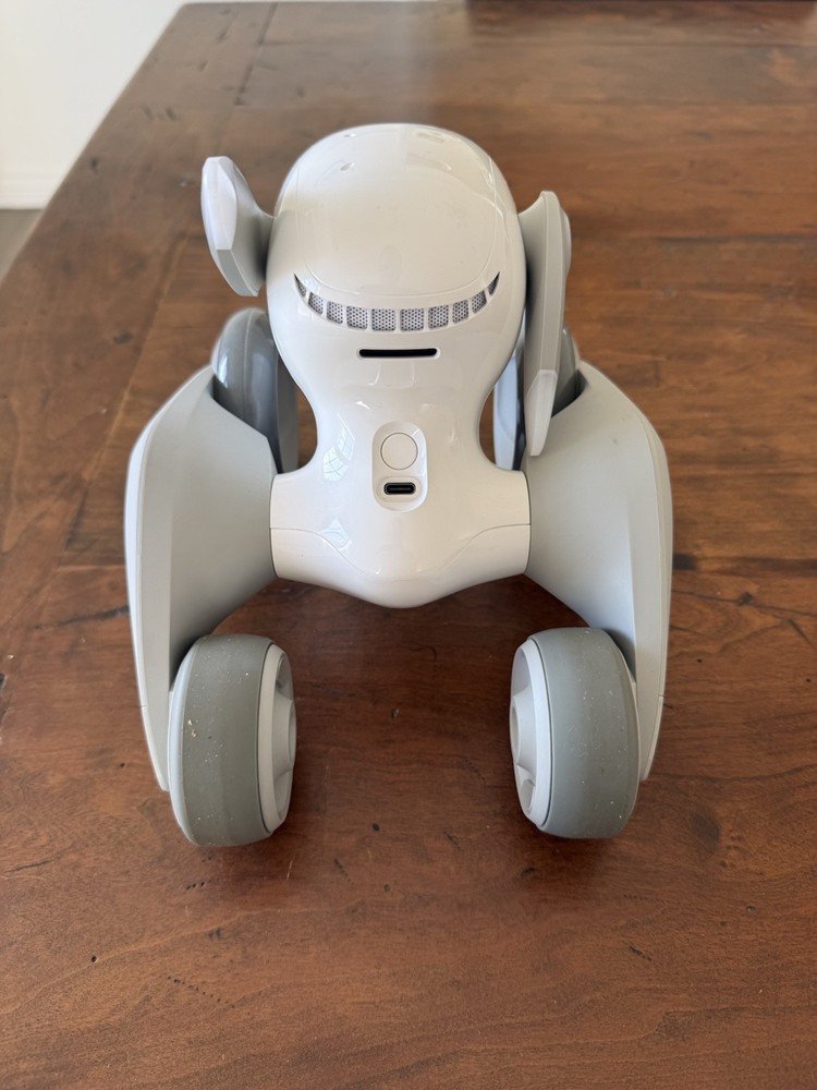 LOONA The PetBot
