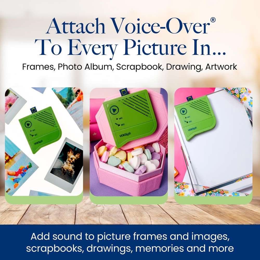 Voice-Over®, 60-Second Voice Recorder with Playback | Digital Audio Recorder ...