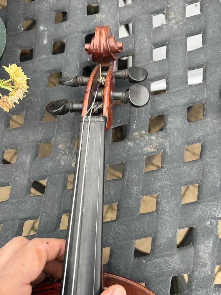 Antonius Stradiuanus Student Violin With Bows