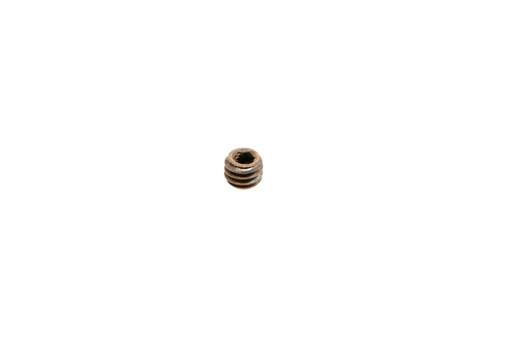 OMC 317276 Set Screw NOS