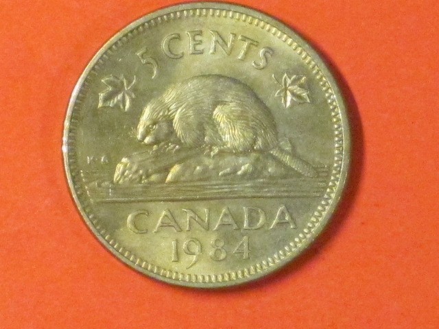 1984   Five Cents- Canada - KM# 60.2a   / Very nice example