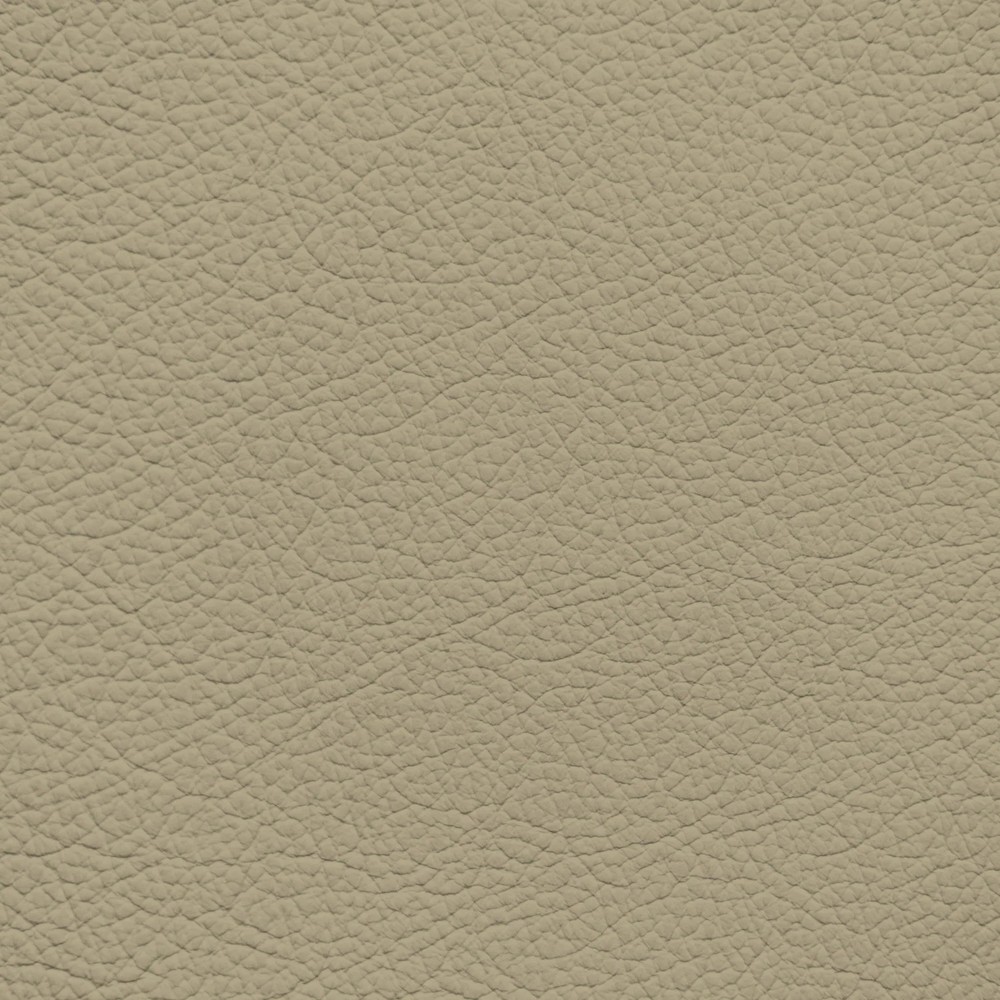 Volvo Soft Beige Leather Dye