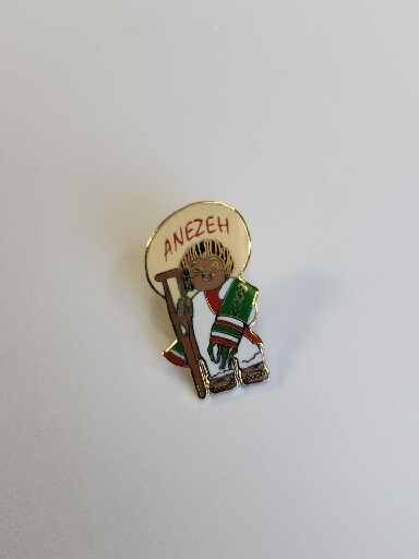 Shriner Lapel Pin Anezeh 2008