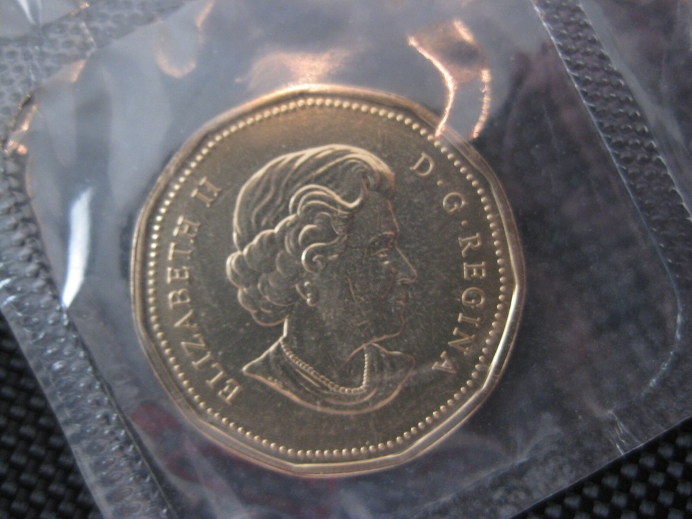 2004 Canadian Prooflike Loonie ($1.00)