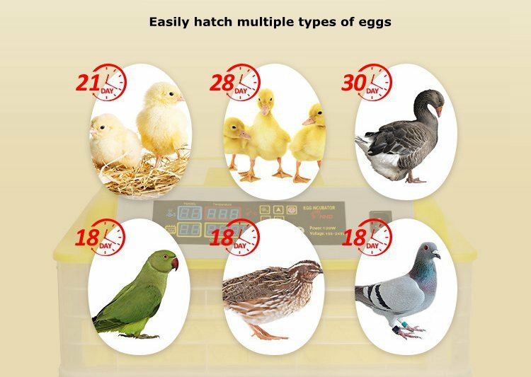 Egg Bird Incubator 96 Eggs Automatic Poultry Hatcher Breeder Digital Display