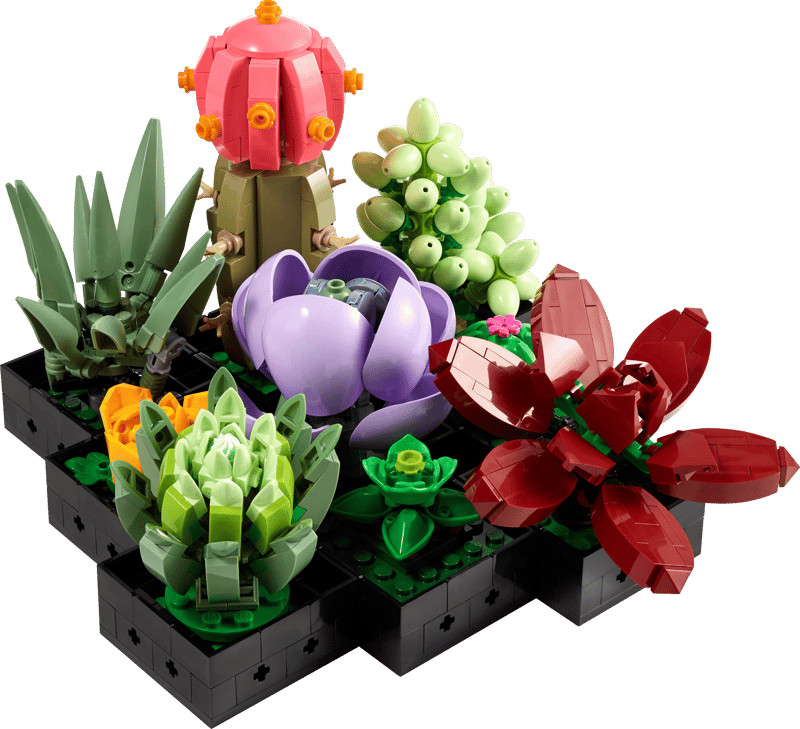 LEGO Botanicals: Succulents (10309)