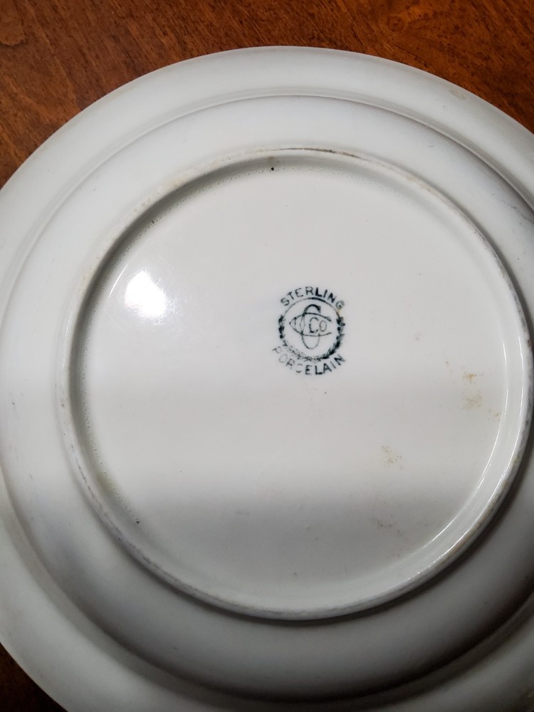 Sterling Porcelain 10" Serving Bowl