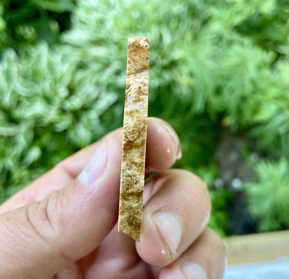 Mozarkite Chert Old Stock Slab