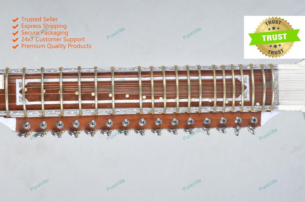 Professional High Quality Indian Classical Musical String Instrument Right Hande