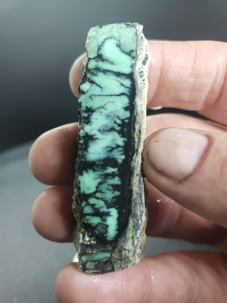 Nevada Saguaro Variscite Slab