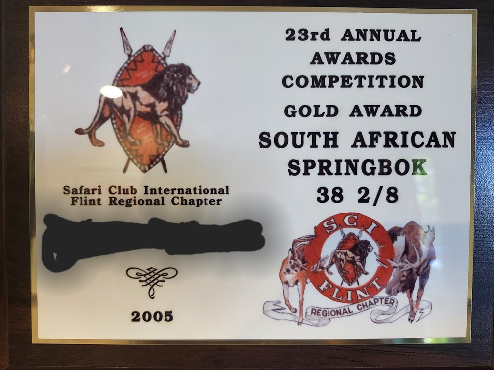 South African Springbok Head Mount Trophy