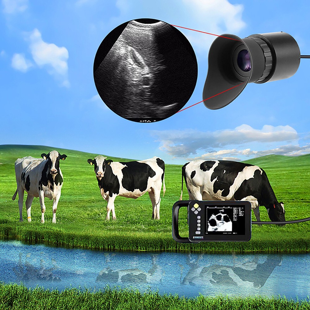 V760C-3 Wearing Large HD Screen Portable Display Head Mounted Display Accessory