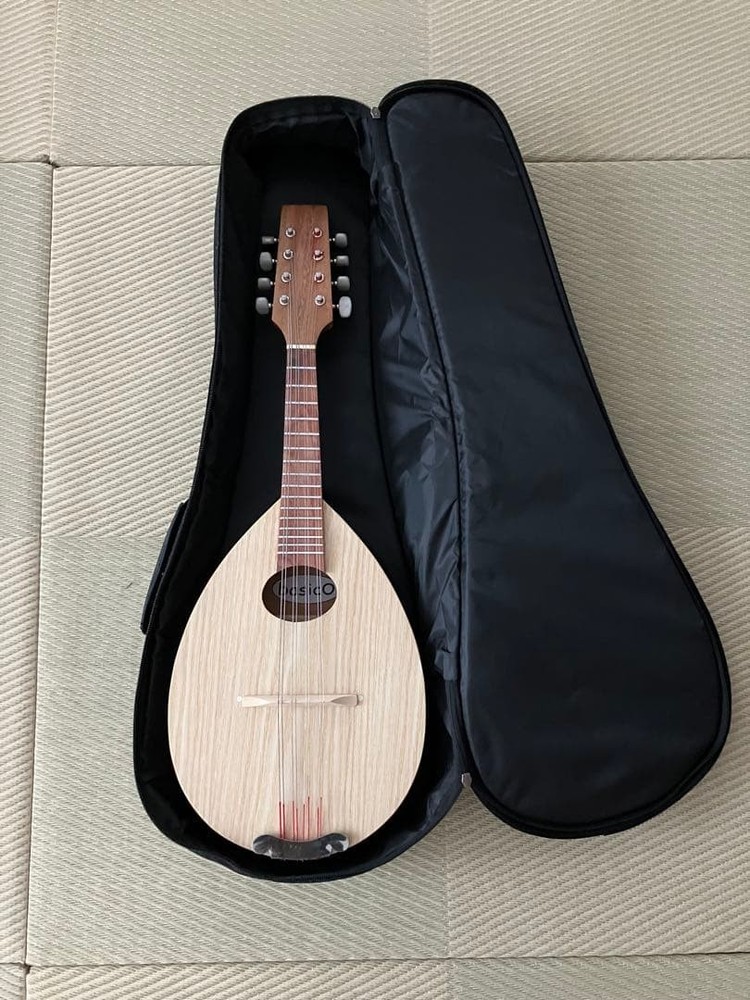 Basiko (flat mandolin)