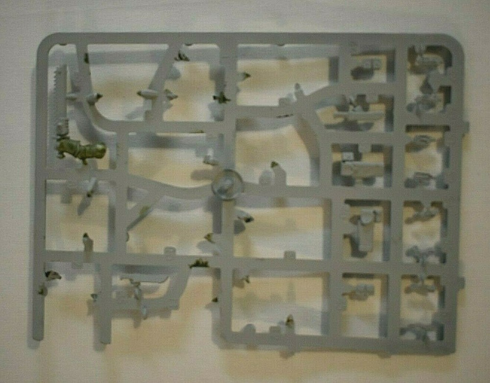 Warhammer 40K Primaris Intercessor Squad Bits On Sprue