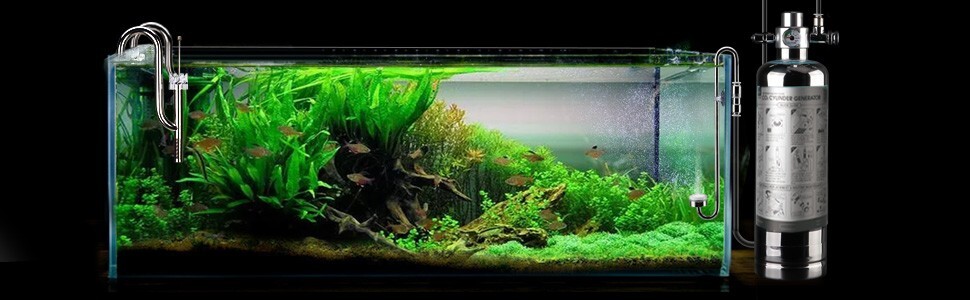 CO2 Diffuser Atomizer with Integrated Check Valve Stainless Steel Aquarium Fish