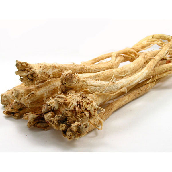 Huang Qi - Astragalus Root Slice, 黃芪 황기 Astragalus membranaceus Root