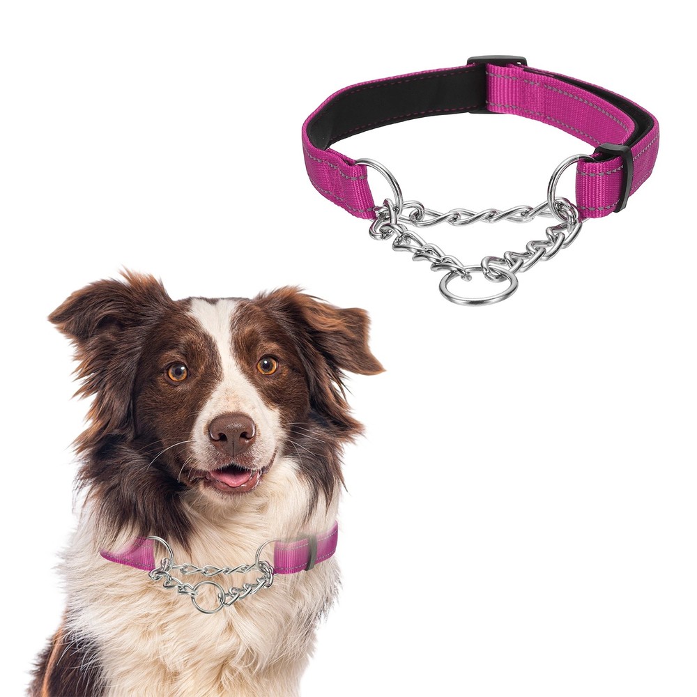 No Pull Collar for Dogs, Reflective Dog Chain Collars l (Rose Red)