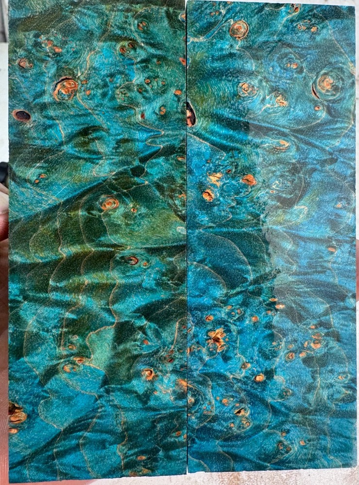 Stabilized Maple Burl Scales | SMB 1065