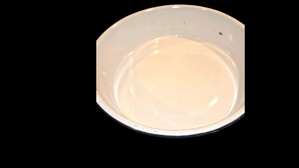 ANTIQUE DERBY SILVER PLATE COMPANY WARMING DISH