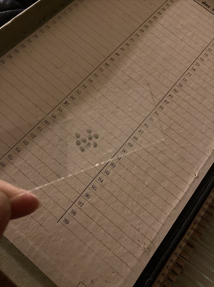 Vintage MICROSCOPE SLIDE SET MOUNTS CROSS SEC German