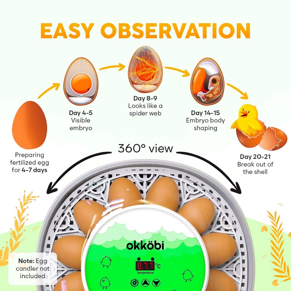 Automatic Egg Incubator with Turner Humidity Controller 12 24 Reptile Bird