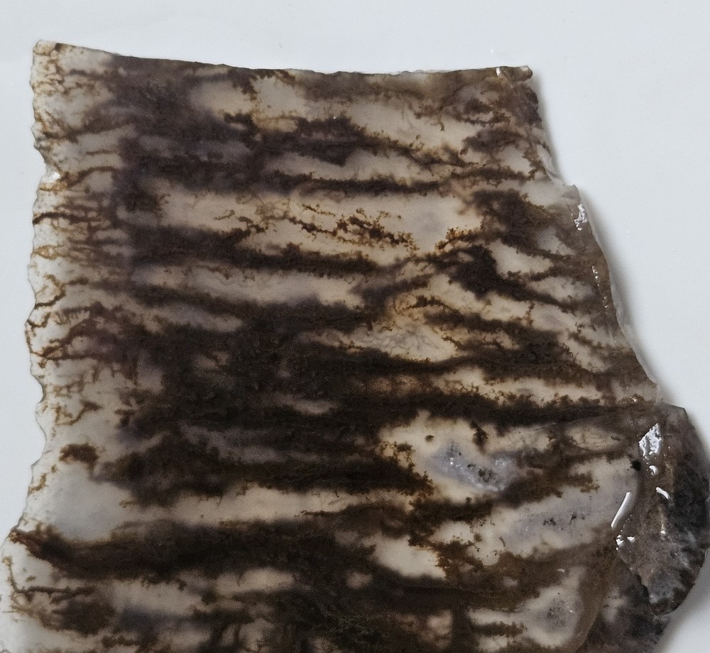 Plume Agate Thin Slab 63 Grams