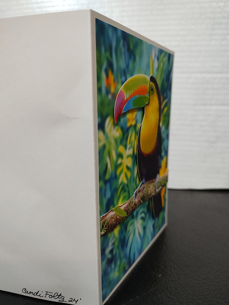 Toucan Bird Ladybug Greeting 3D Card hand-crafted