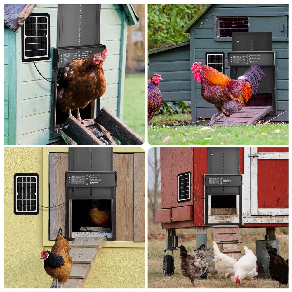 Solar Automatic Chicken Coop Door Opener w/ Timer/Light Sensor/Remote Control