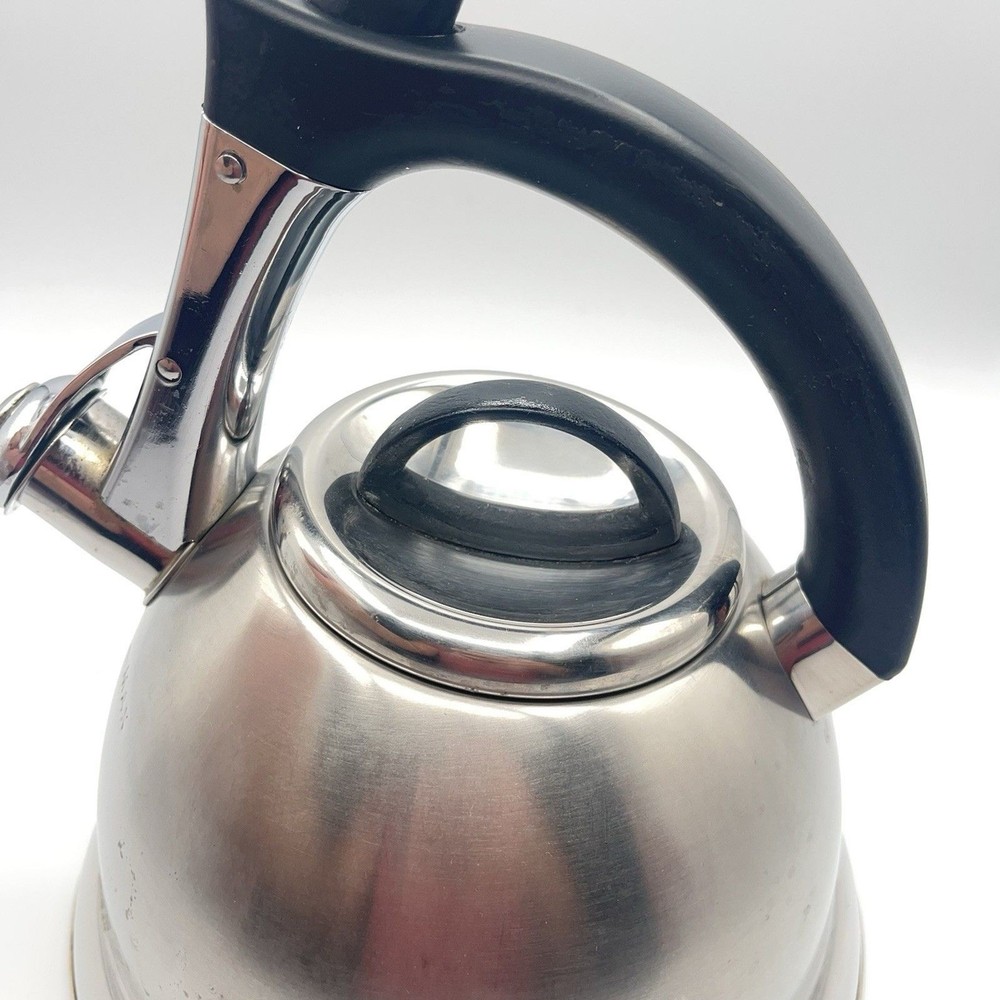 Pykal Stainless Whistling Tea Kettle Designed In Germany