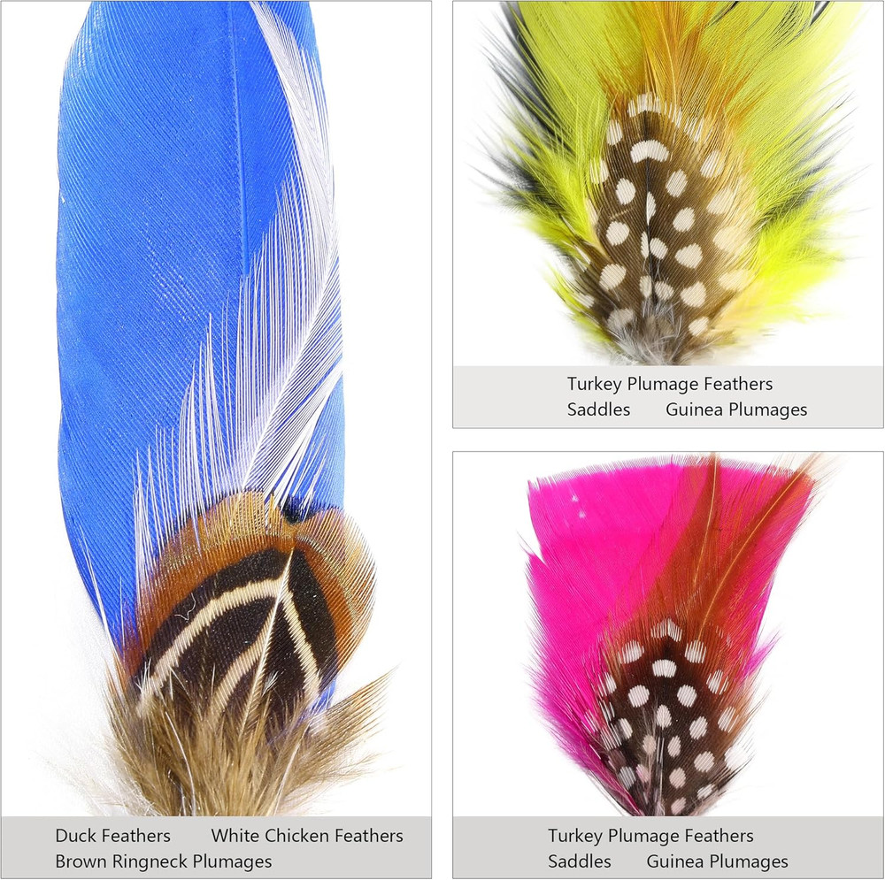 Hat Feathers 30 Styles Natural Assorted Feathers for Fedora Hats Accessories DIY