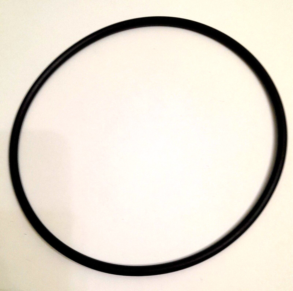 Pentair WhisperFlo Lid O-ring 39200300