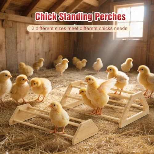 7-in-1 Chicken Brooder Box for Chick Starter Kit, Includes Red + Wood Color