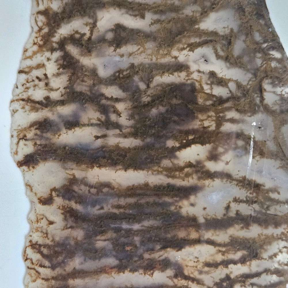 Plume Agate Thin Slab 63 Grams