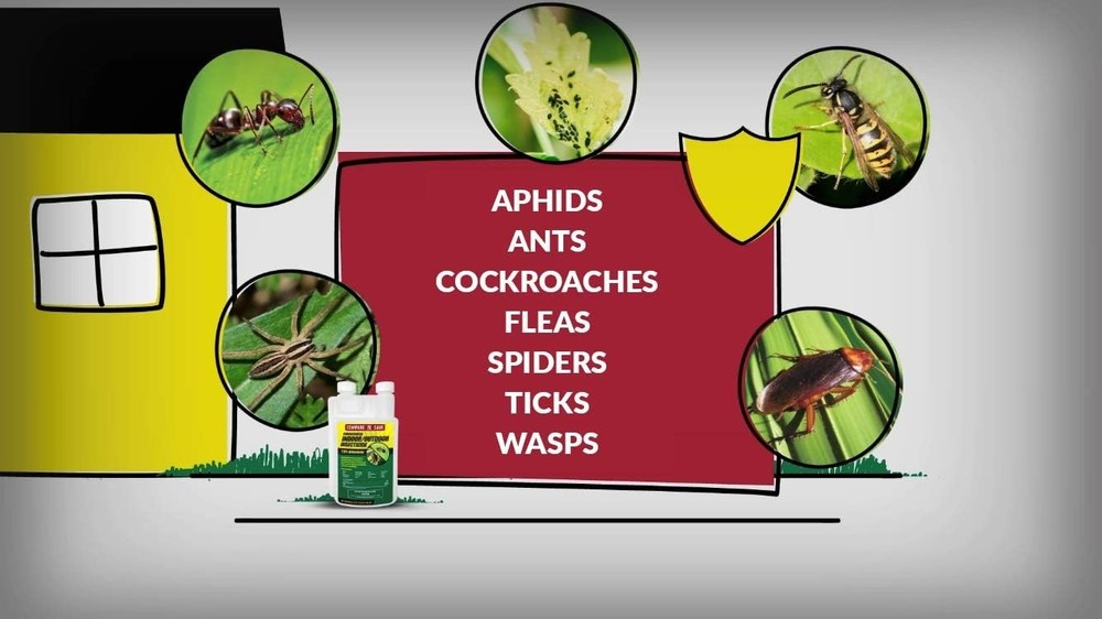 Compare-N-Save 7.9% Bifenthrin Concentrate for Insect Control, 8-ounce