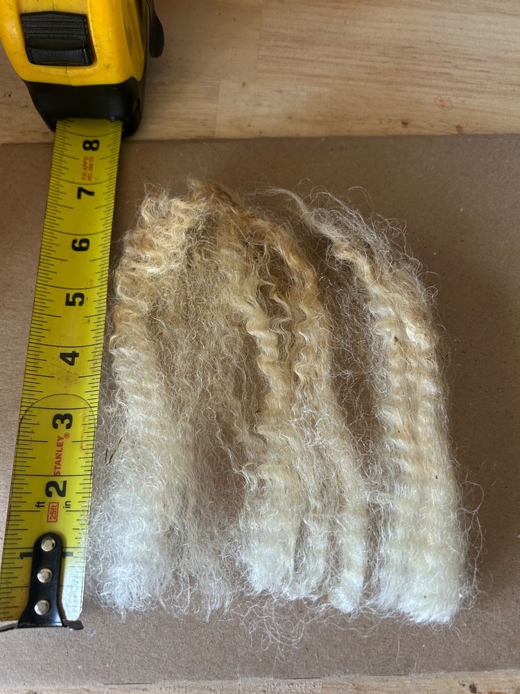 Cotswold fleece, raw wool