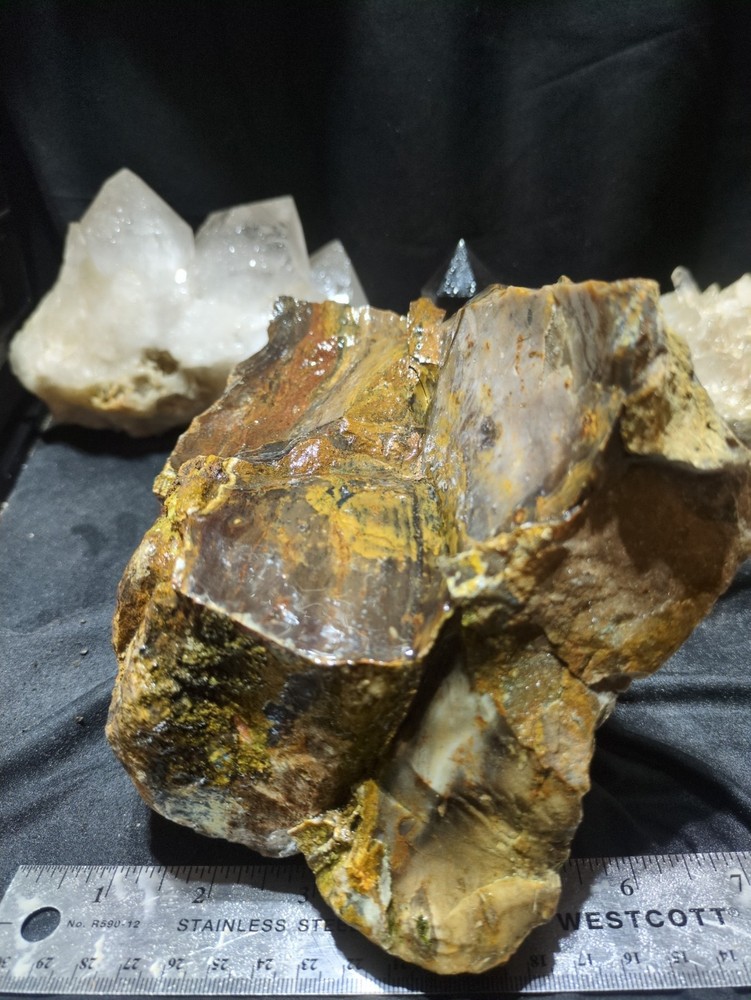 Biggs Jasper Specimen w/ Dendric Natural Form (7lbs 12oz)