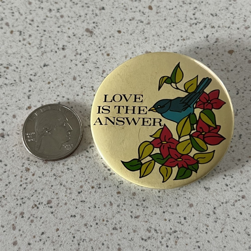 Love Is The Answer Cute Blue Jay Vintage Pinback Button #45172