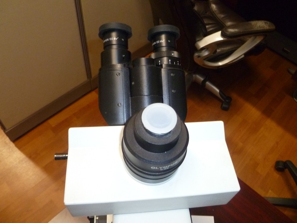 Olympus BX41 trinocular microscope
